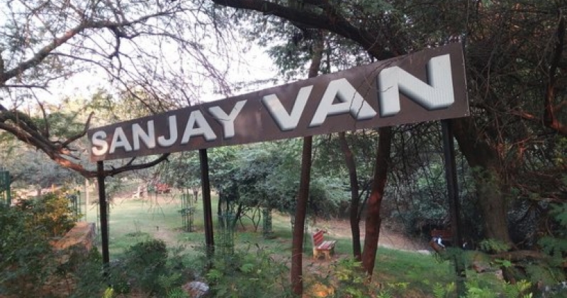 Sanjay Van in Delhi