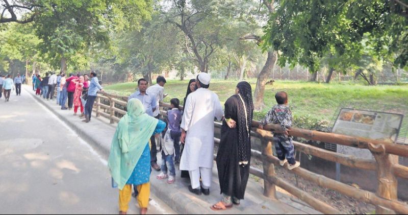 Zoo in Delhi