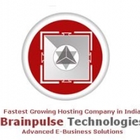 BrainPulse Technologies-100028
