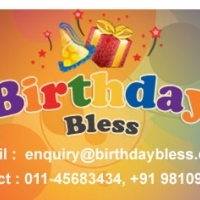 Birthday Bless- Party Planner & Organi