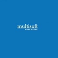 Multisoft Virtual Academy