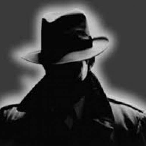 Swan Detective Agency Swan Detective Agency