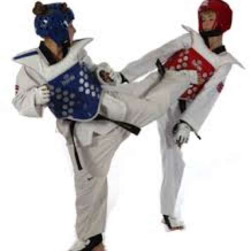 Best Taekwondo Classes in Delhi