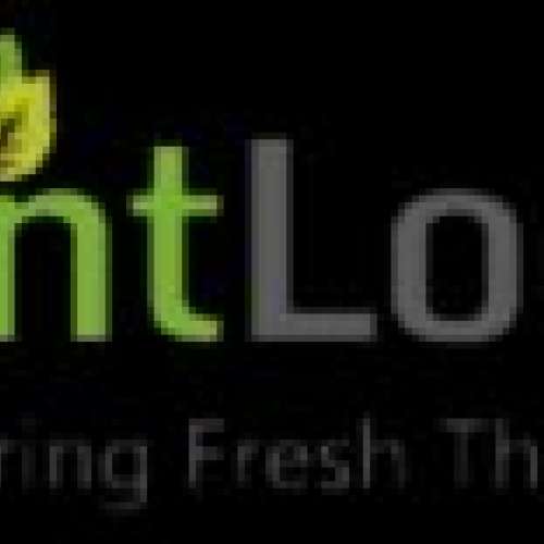 MintLogix Solutions Pvt Ltd MintLogix Solutions Pvt Ltd