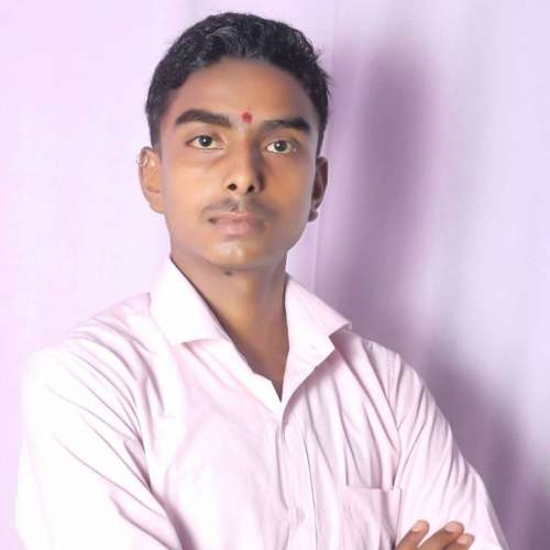 Ankit Jha Business Developer