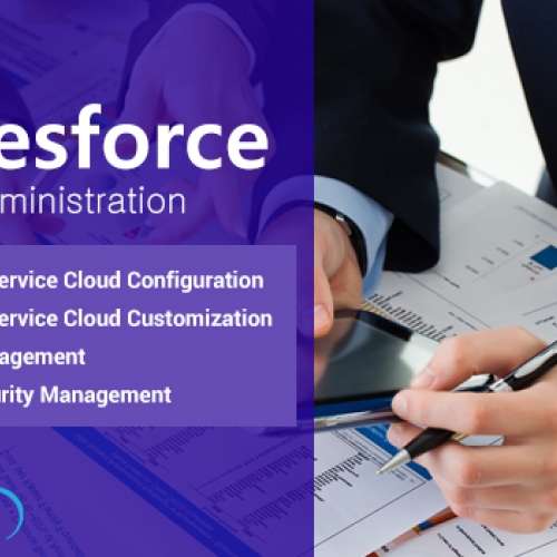 Salesforce Administration service India