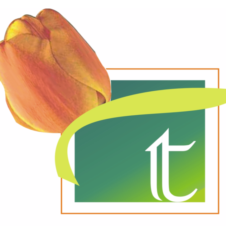 Tulip Group