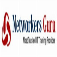 Networkers Guru